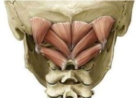 Deep muscles door holding atlant in the wrong position